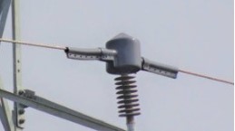 33 KV Bird Protection Cap