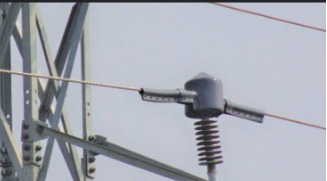 11 KV Bird Protection Cap