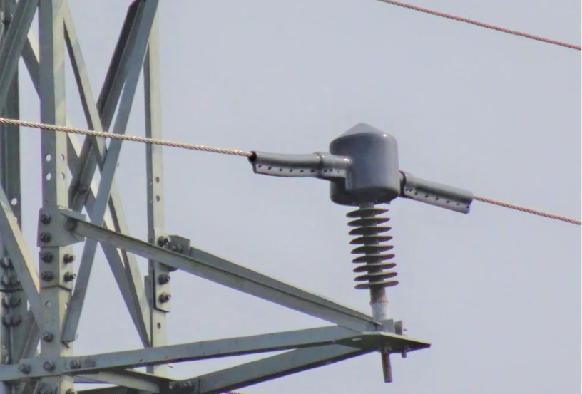 33 KV Bird Protection Cap